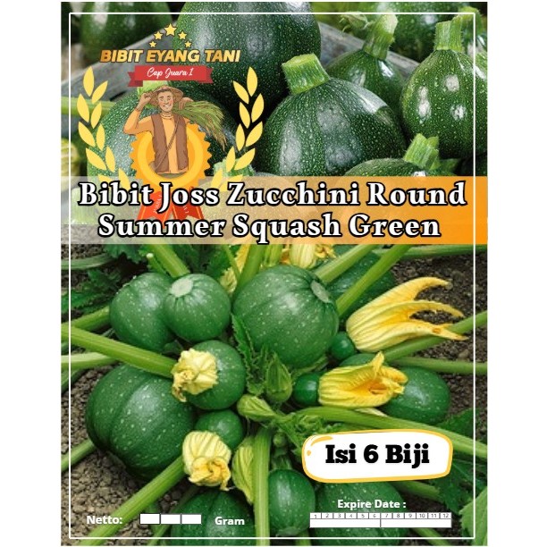 Bibit Joss Zucchini Round Summer Squash Green | Biji Benih Zucchini Bulat Hijau | Zucchini Hijau