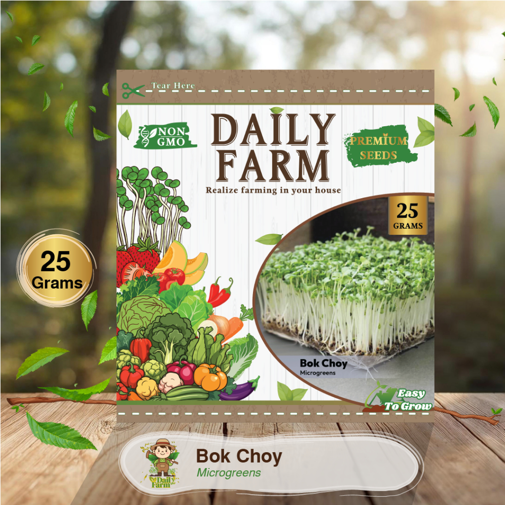 Benih Sayur Microgreen - Microgreen Bok Choy ( 25 Grm )