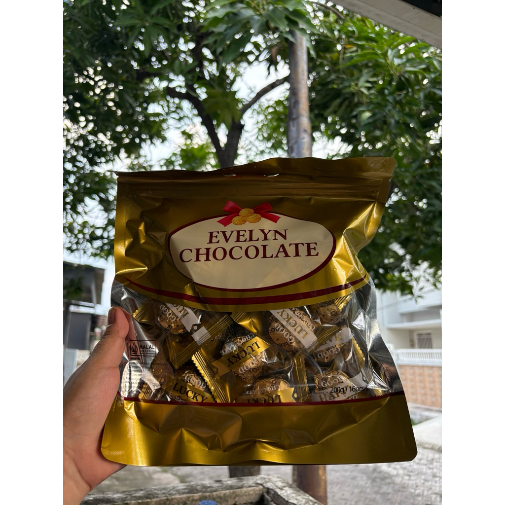 Evelyn Chocolate Ball 200gr isi 16pc