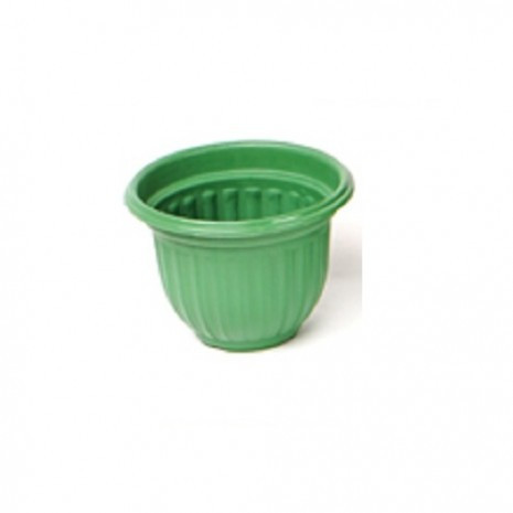 POT MATAHARI 20 CM HIJAU PANDA STAR