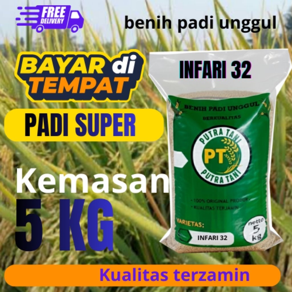 benih padi/bibit padi INFARI 32 berkulitas unggul (kemasan 5kg)