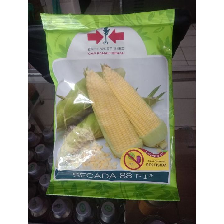 Benih jagung manis SECADA 88 F1 1750 butir dari panah merah secada