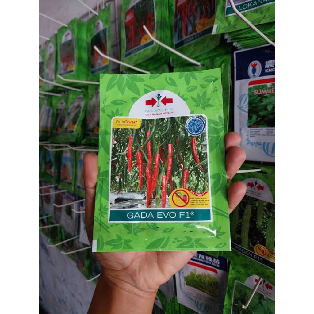 BENIH CABE BESAR GADA EVO F1 10 GRAM