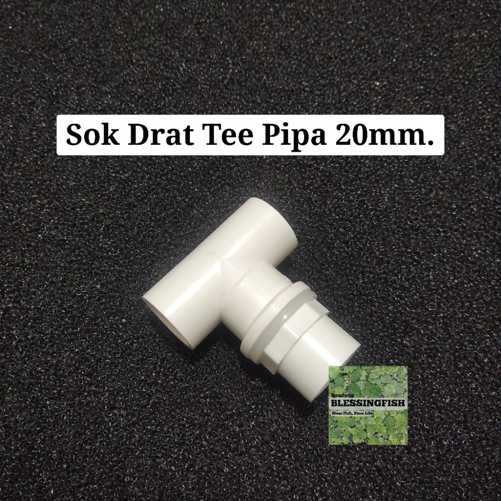 Sok Drat Tee Pipa 20mm Sok Drat T Pipa 20mm Sok Drat Pipa 20mm Sok Drat Pipa Aquarium 20mm Sok Drat 