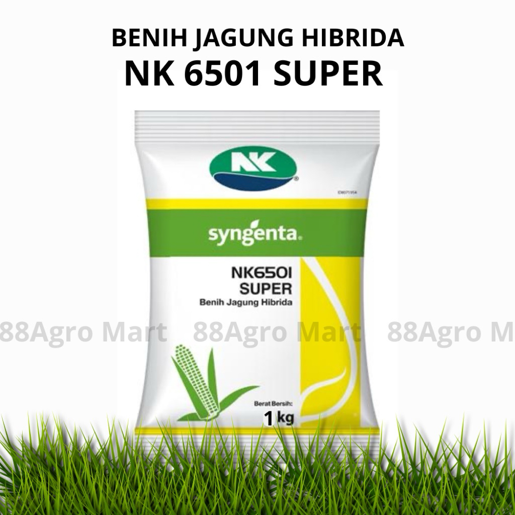 BENIH JAGUNG NK SUPER 6501 / 1 KG