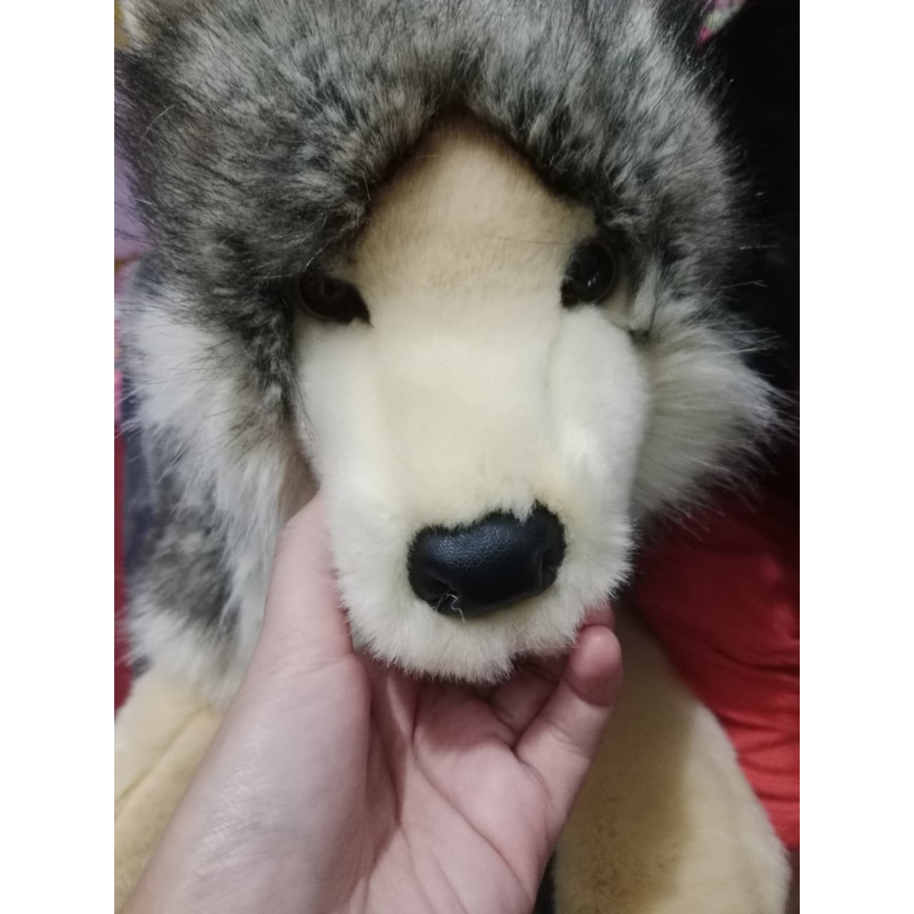 Boneka Serigala merk douglas dengan ukuran yang besar