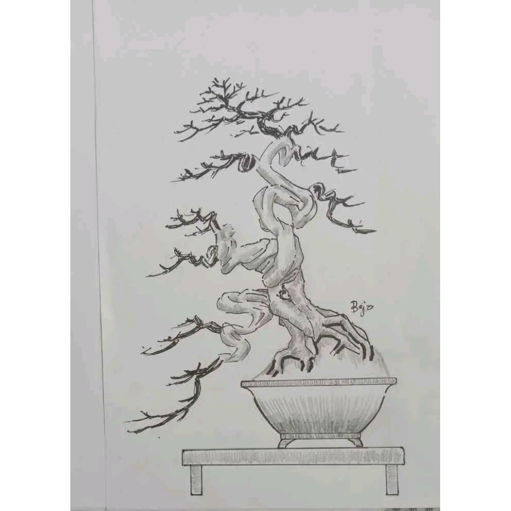 Tshirt bonsai/kaos bonsai/baju bonsai