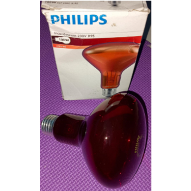 Lampu Infrared 100w Philips