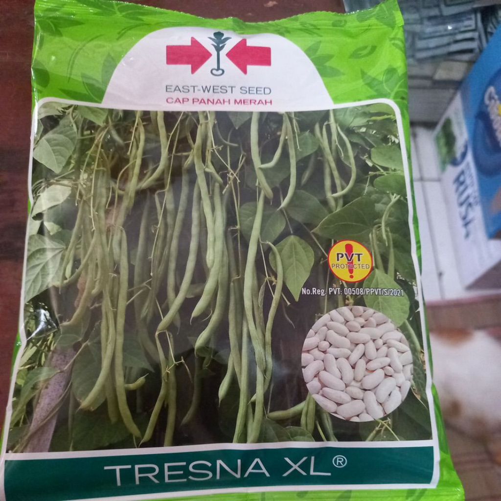 BuncisTresnaXL