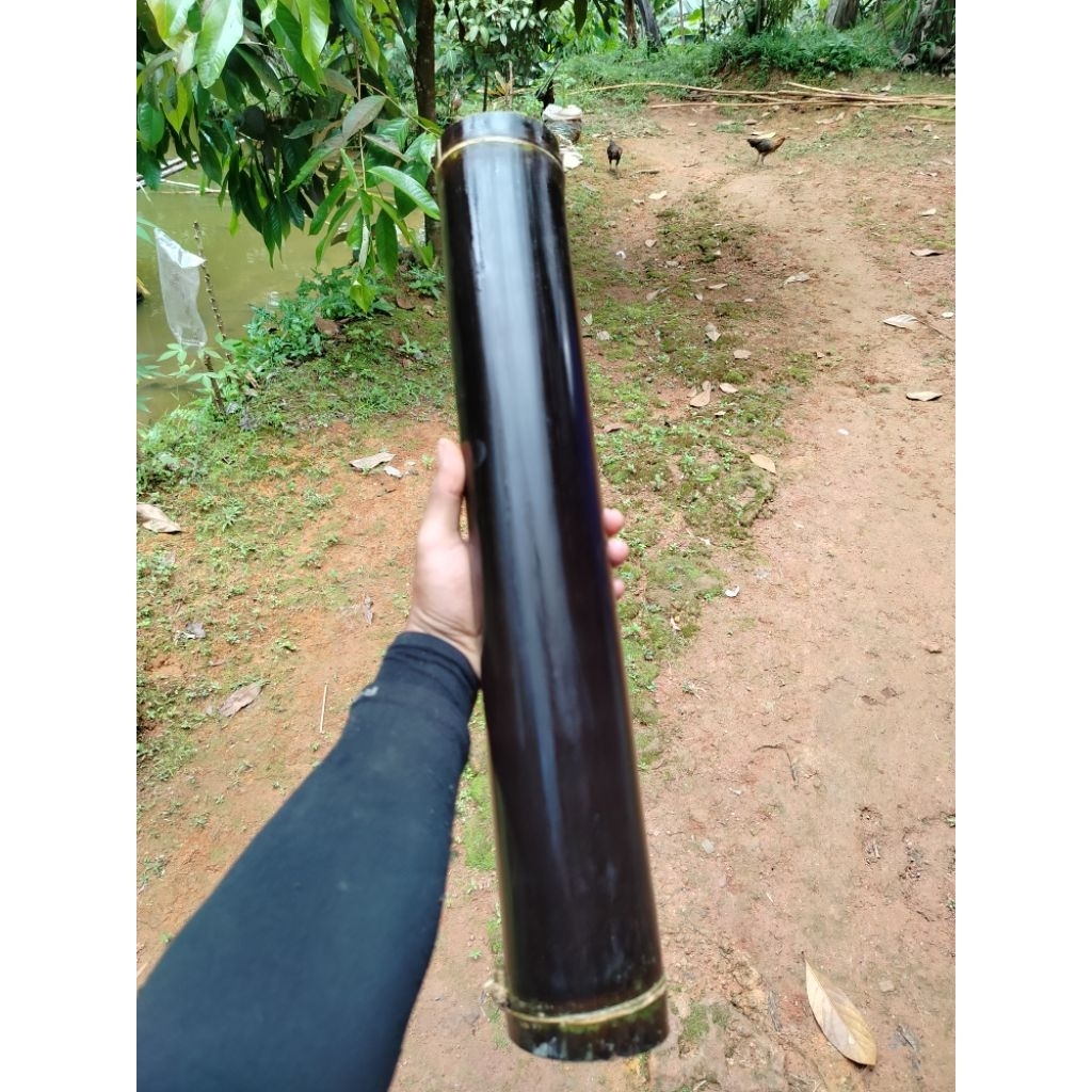 wulung bambu atau bambu hitam