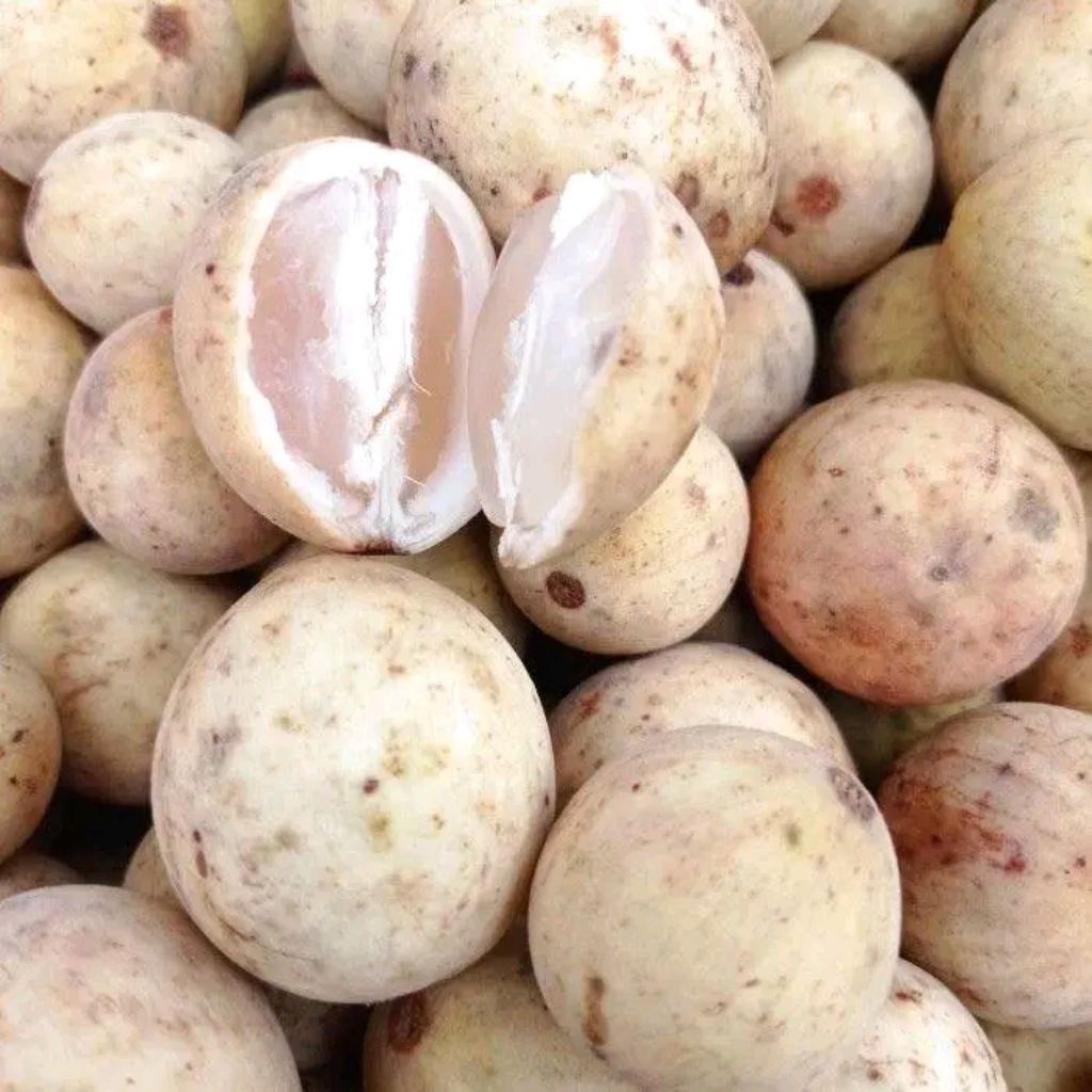 Duku manis palembang/duku segar/buah duku/duku lahat