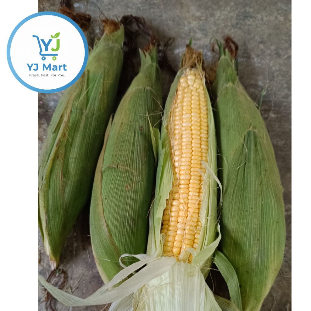JAGUNG MANIS 1KG