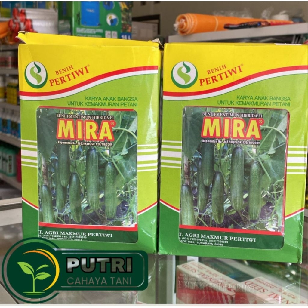 Bibit Timun MIRA F1 25 Gram Pertiwi