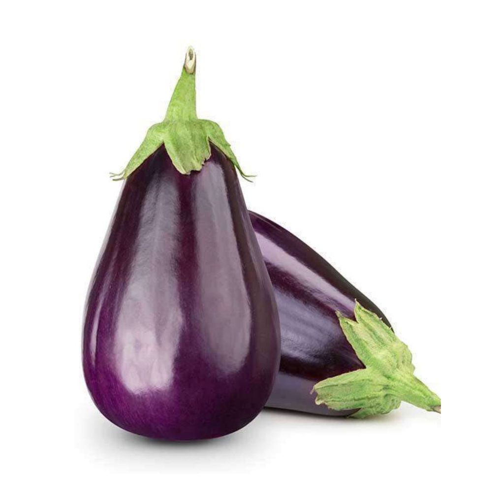 75_Benih Terong Pondoh Ungu