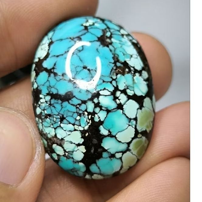 Pirus Hubei ceplok ajib