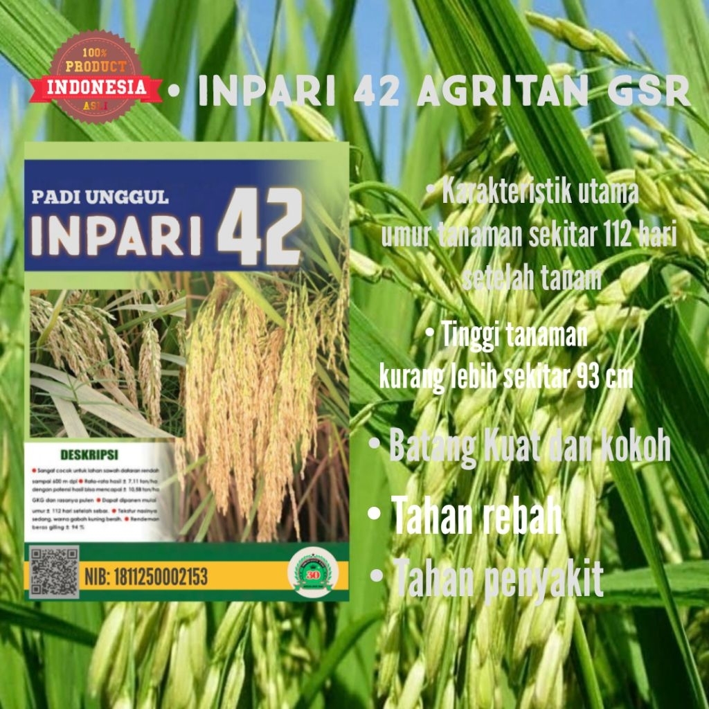 Benih padi unggul hibrida INPARI 42 kemasan 5kg ( PROMO BELI PAKET 5KG GRATIS 1KG )