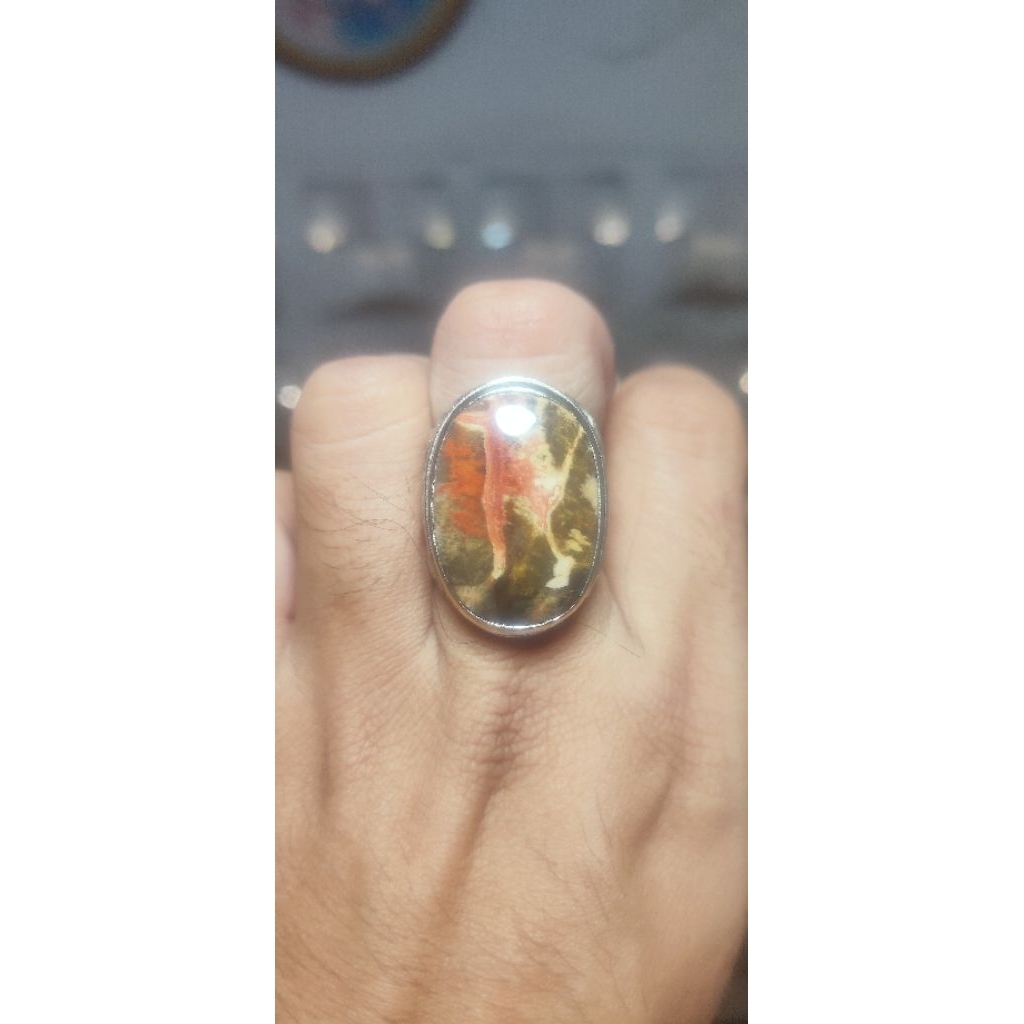 kelor merah banten (03)