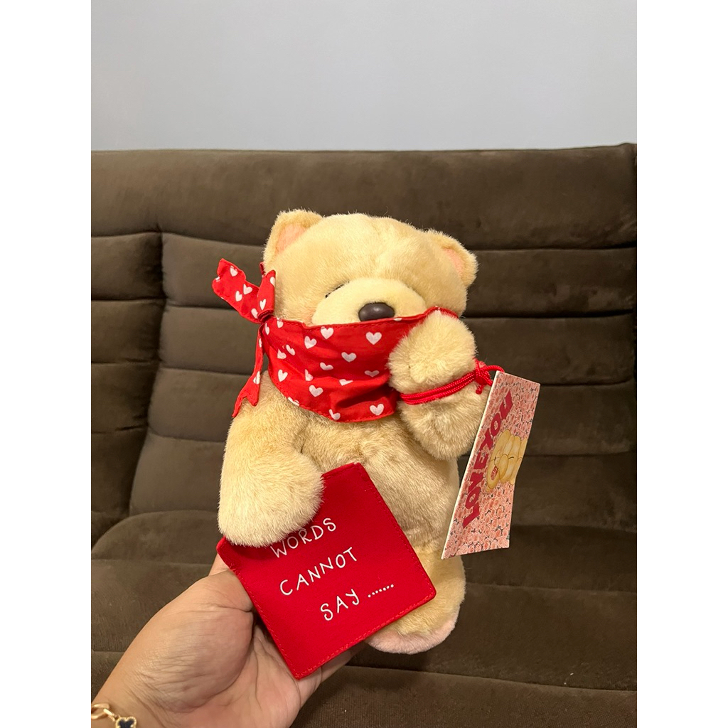 [BARU] Boneka kado/koleksi Teddy FF Forever Friends buku newtag original