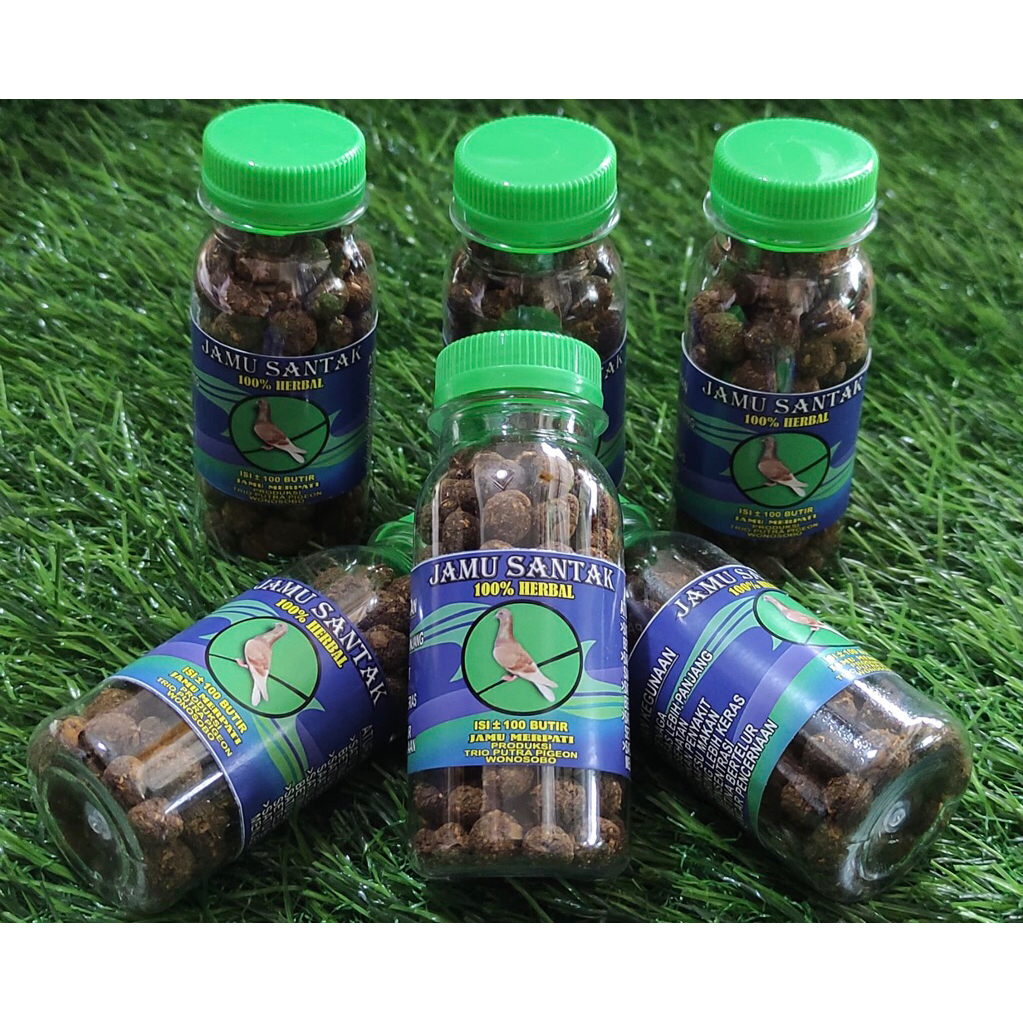 JAMU MERPATI STAMINA MERPATI JAMU SANTAK