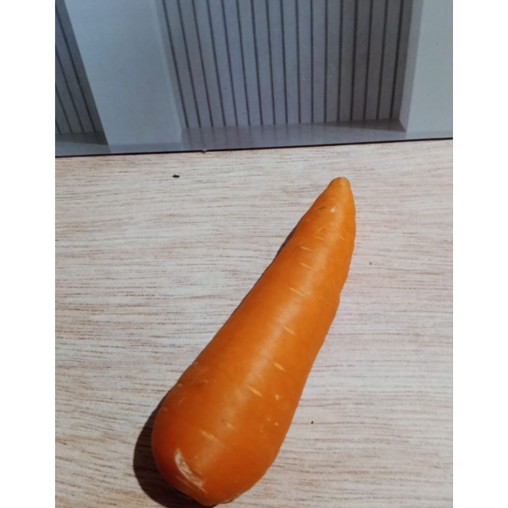 wortel segar / sayuran wortel