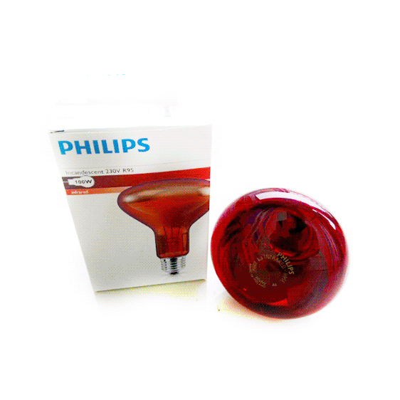 Bohlam Lampu Inframerah Philips Spare Part Alkes 100 Watt