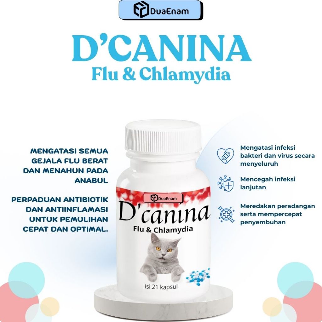 DuaEnam D'CANINA OBAT FLU KUCING 21 Kapsul untuk flu Berat dan menahun Kucing