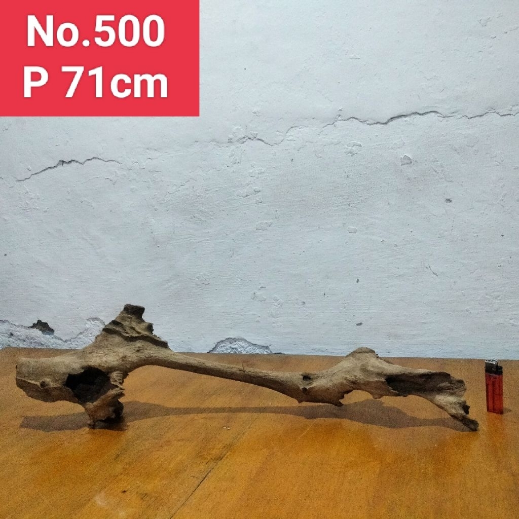 akar santigi laut kayu santigi laut akar dekorasi aquarium aquascape 500