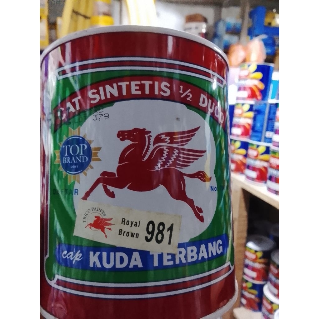 Cat Kuda Terbang