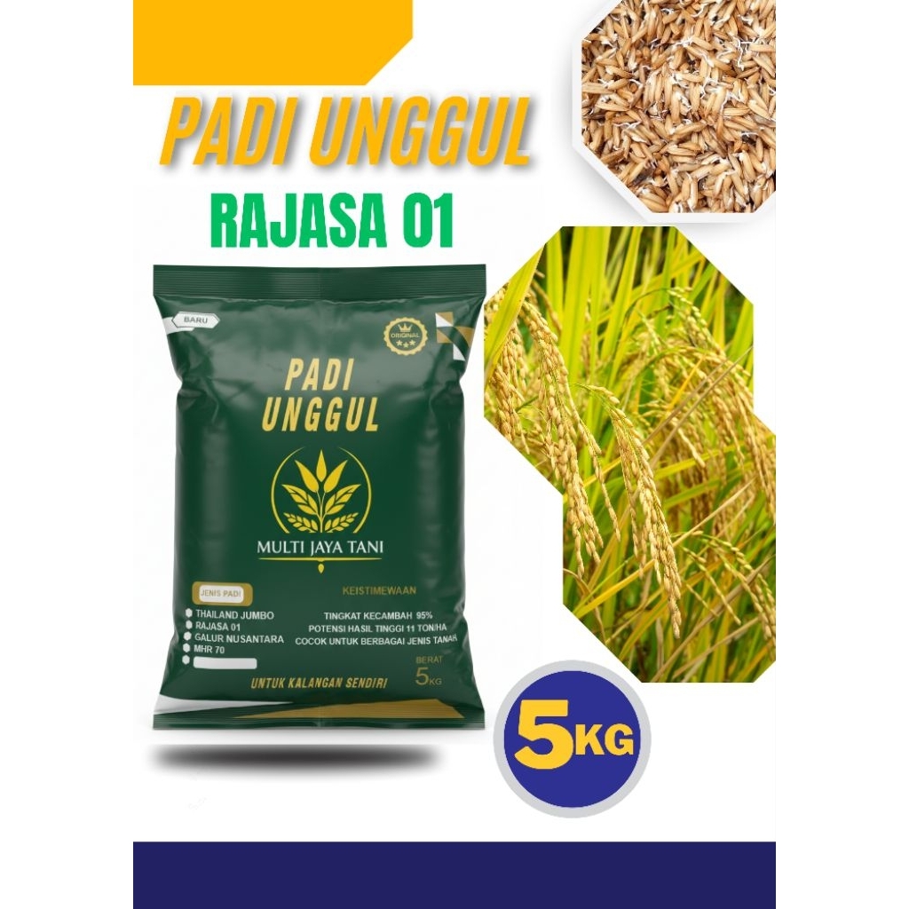 BIBIT PADI RAJASA 01 kemasan 5KG,, PADI 1000 BULIR