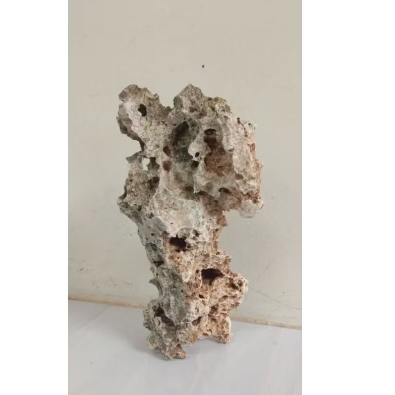 Batu karang bolong untuk bonsai/aquarium