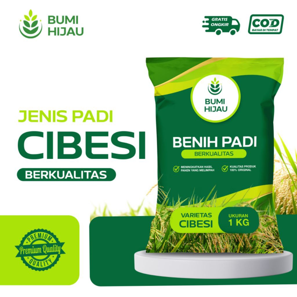 BENIH PADI BIBIT PADI CIBESI KEMASAN 1KG KUALITAS SUPER PREMIUM