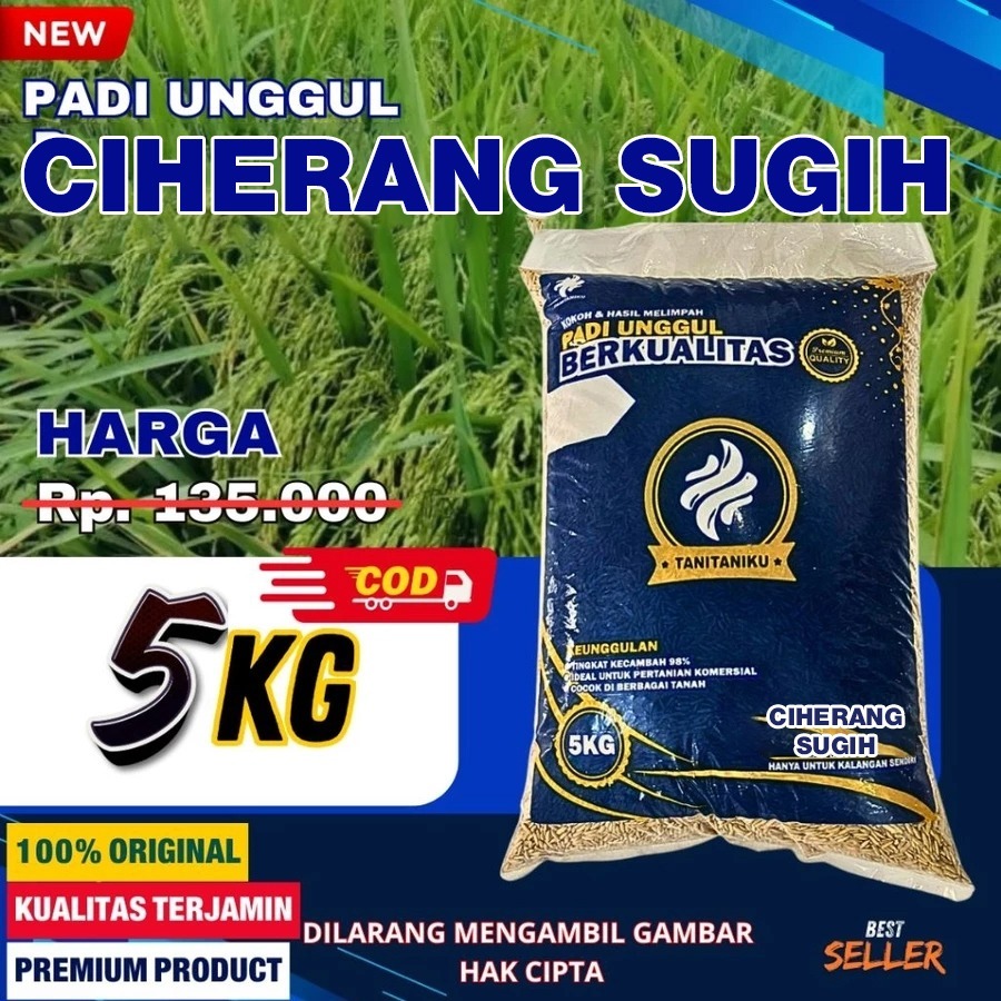 Bibit padi Benih padi CIHERANG SUGIH kualitas original kemasan 5kg