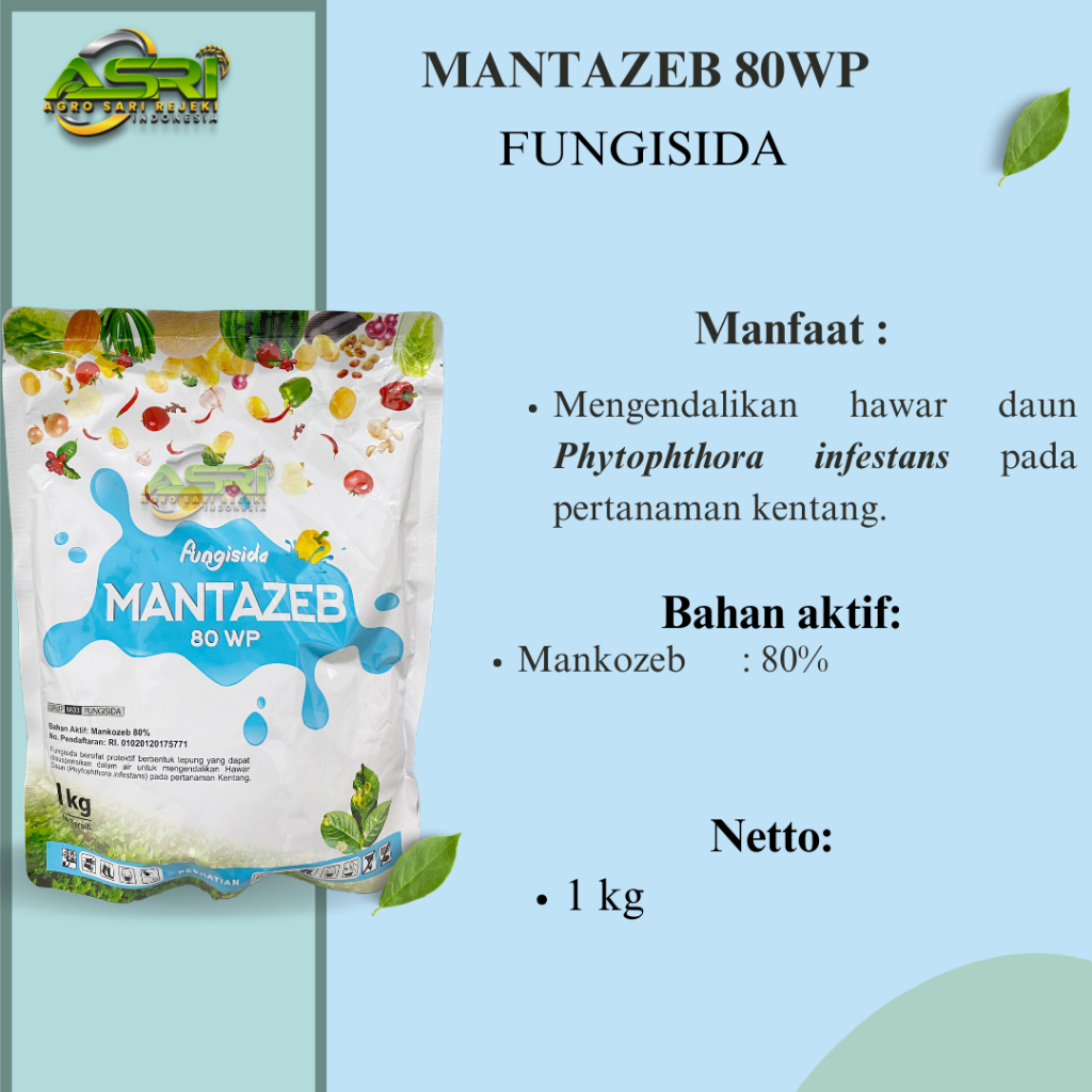 MANTAZEB 80WP 1 KG FUNGISIDA