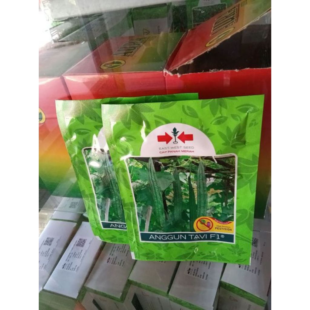 Benih Oyong Gambas Ad Anggun Tavi Cap Panah Merah