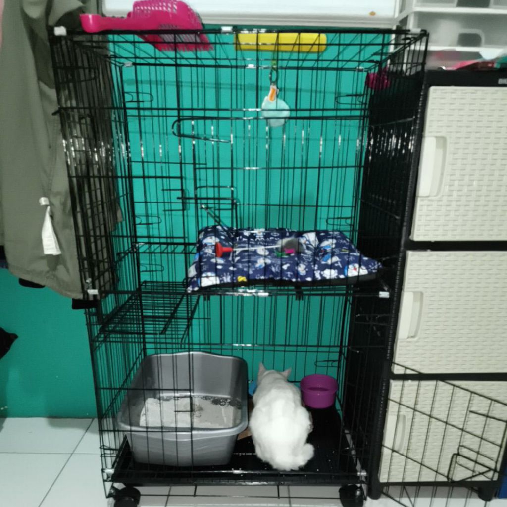 kandang kucing besi lipas size L
