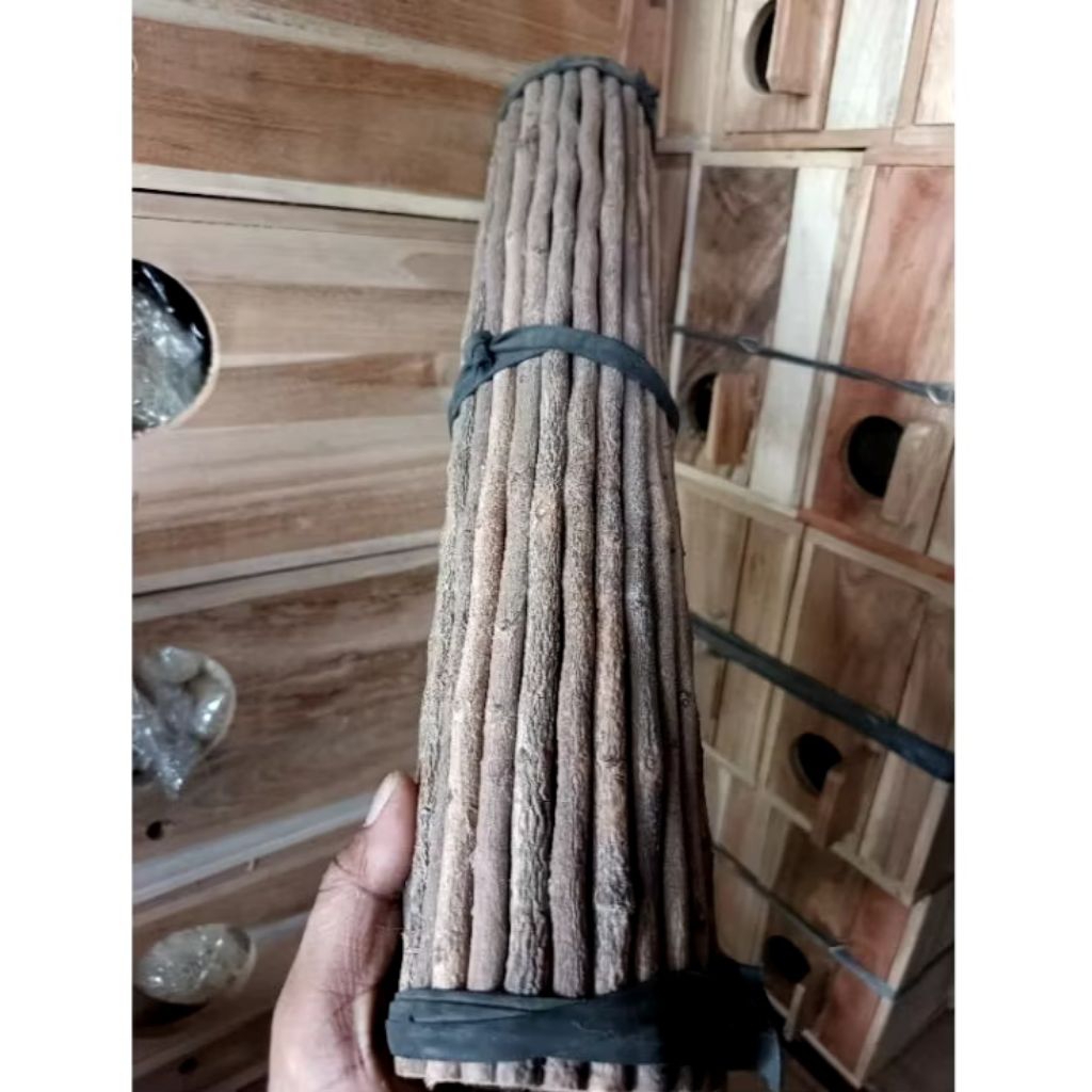 TANGKRINGAN KAYU ASEM JAWA ASLI , BURUNG CIBLAK KENARI BUKAN ASEM TETEAN