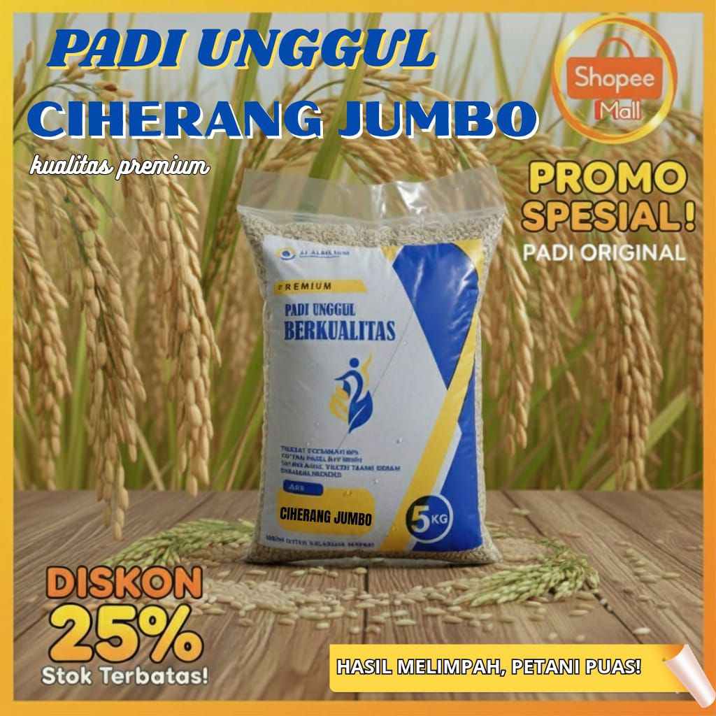 padi Ciherang jumbo kemasan 5kg bibit unggulan