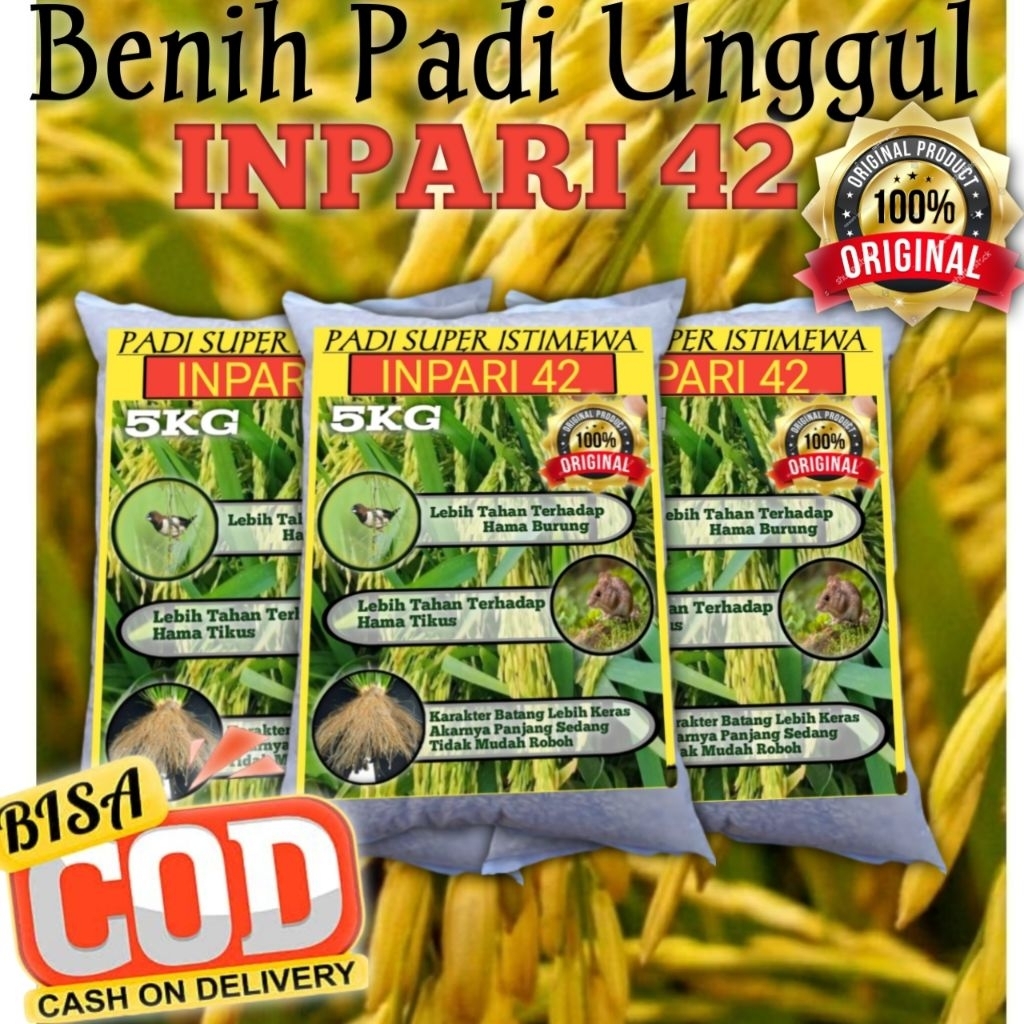 benih padi INPARI 42 benih padi unggul dan berkualitas 5kg