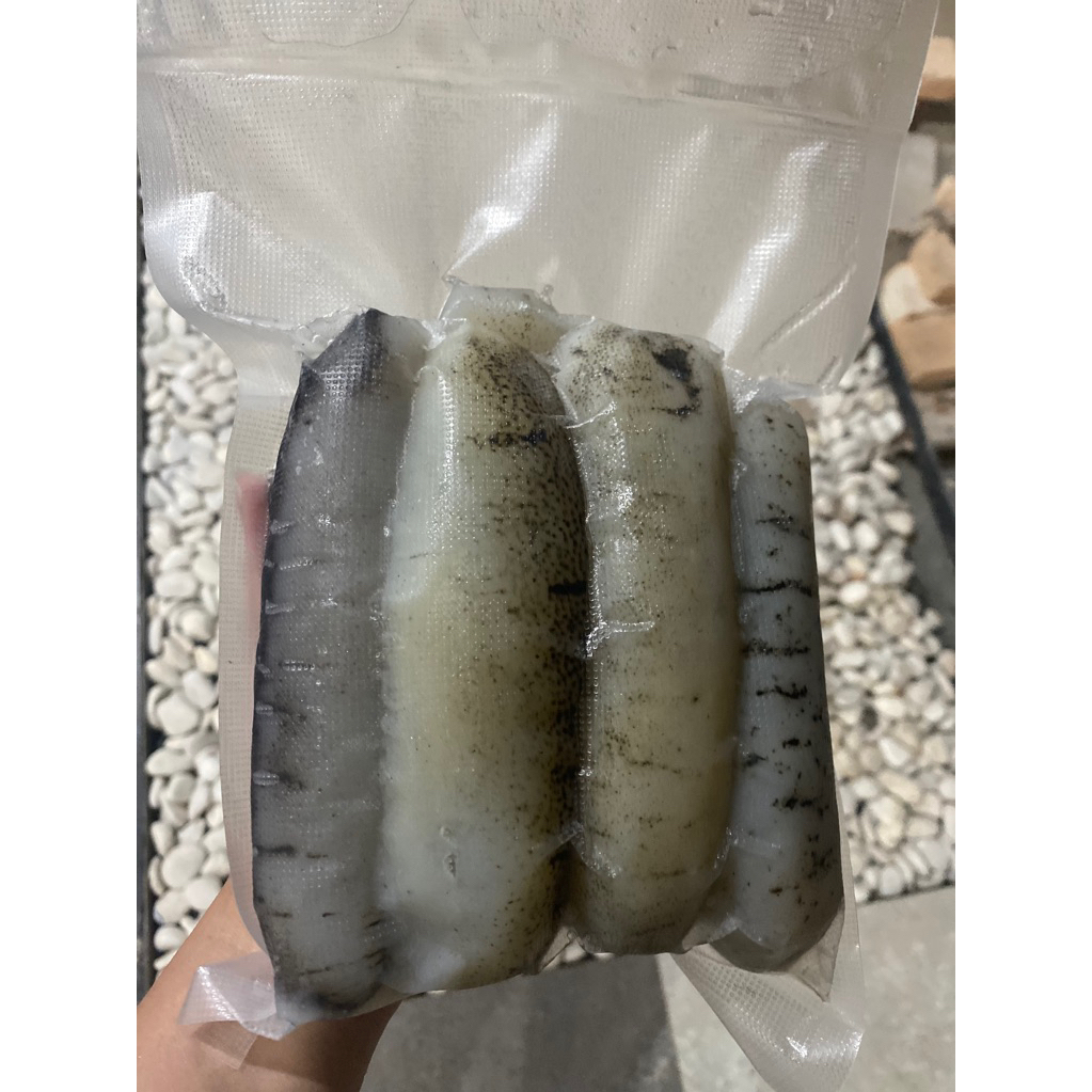 TERIPANG PASIR RENDAM BELITUNG 1 KG uk 7-8pcs