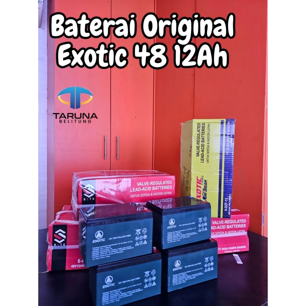 Aki Sepeda Listrik Exotic 48V 12Ah cocok untuk semua jenis sepeda listrik baterai 48V/12Ah