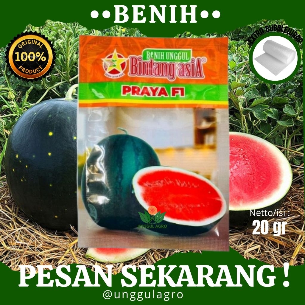 PROMO Benih semangka merah PRAYA F1 20gram dari bintang asia