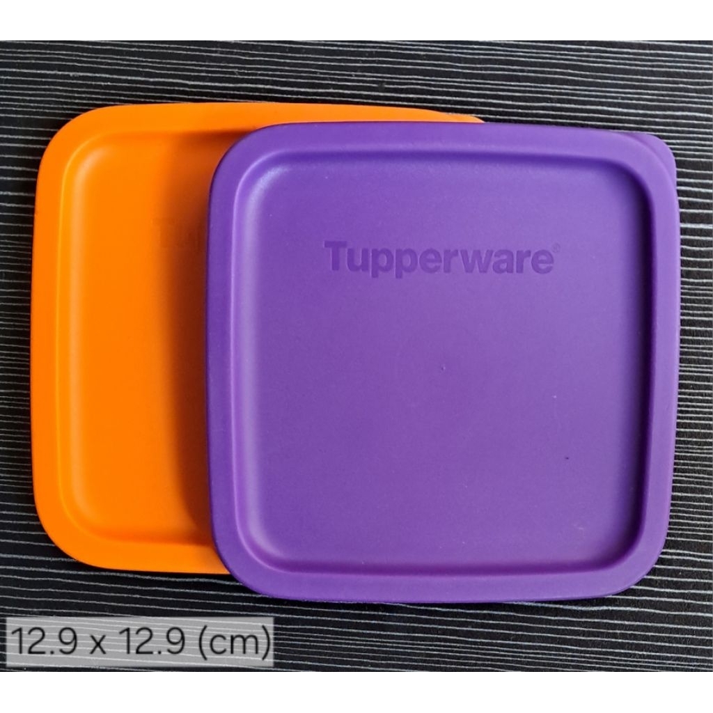 NEW - Seal Summer / Tutup Summer Tupperware (satua)
