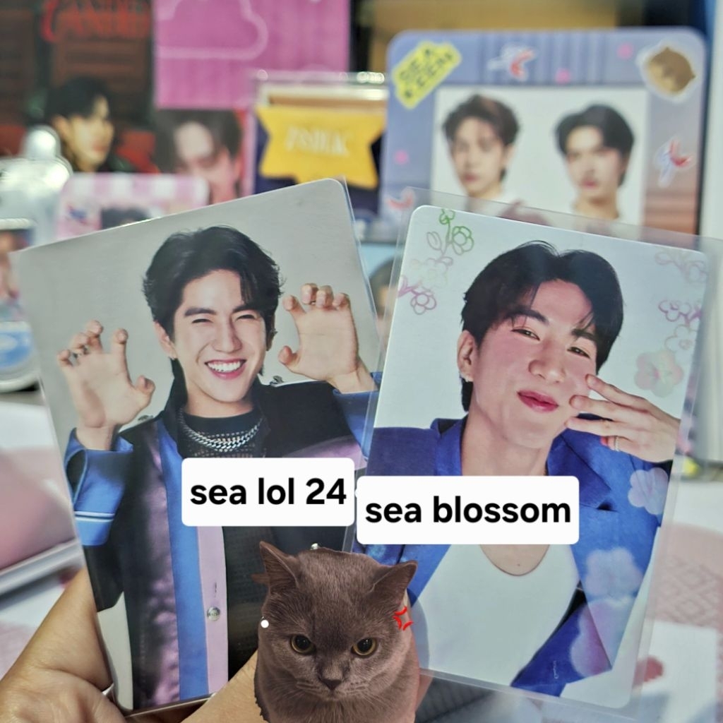 PC/CC SEA TAWINAN GMMTV JIMMYSEA SEA MAUNG SEA MEOW