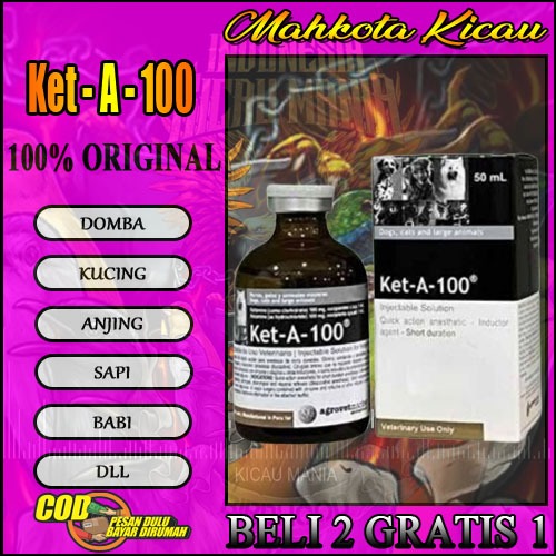 Ket-A-100 Original Obat Untuk Hewan Ternak Asli