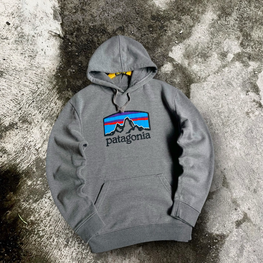 hoodie patagonia second