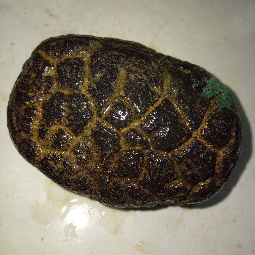 Original Batu Satam Meteorite Big Size / Ukuran Jumbo
