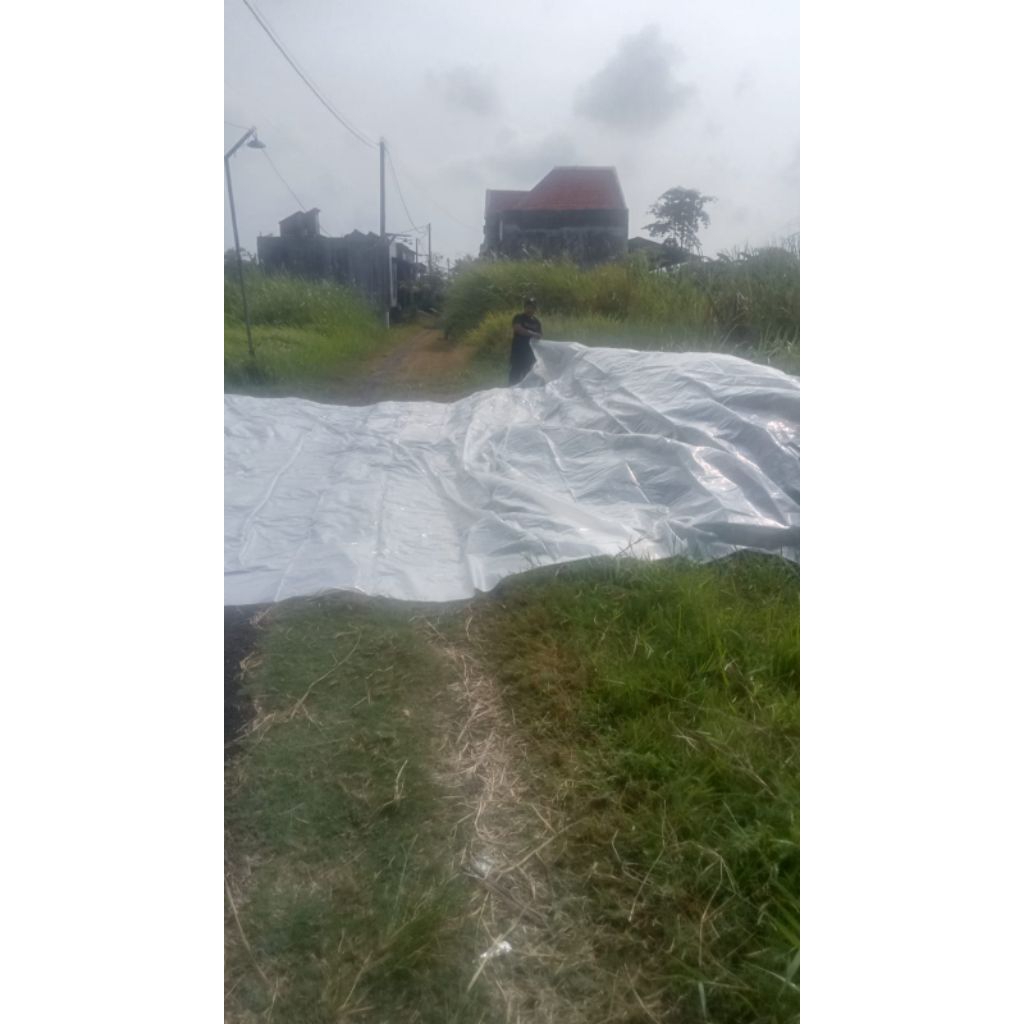 PLASTIK UV COR 7X8 METER TEBAL 200 MICRON