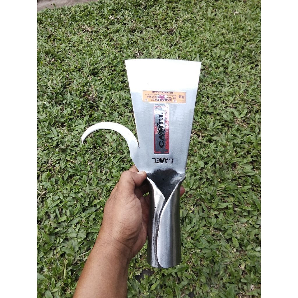 Dodos Sawit Taji CAMEL putih Malaysia original