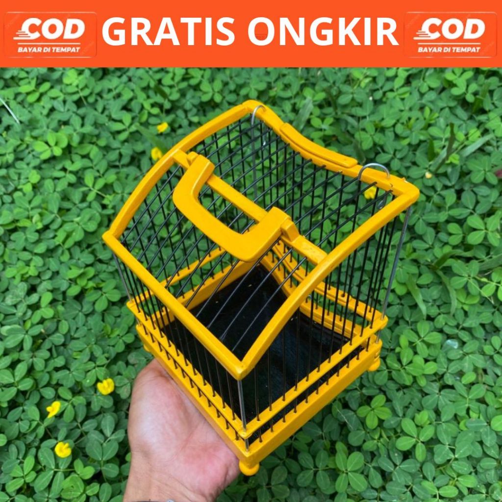 Sangkar Untul Melengkung Kuning Elegan Ruji Fiber Untuk Sogon Konin Pleci Satu Pintu Tatakan Bawah D