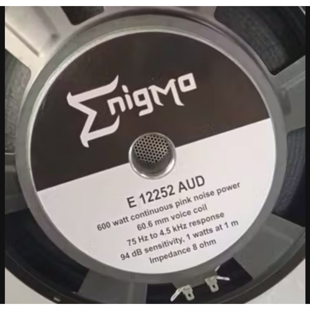 SPEAKER 12 INCH ENIGMA 12252 AUD